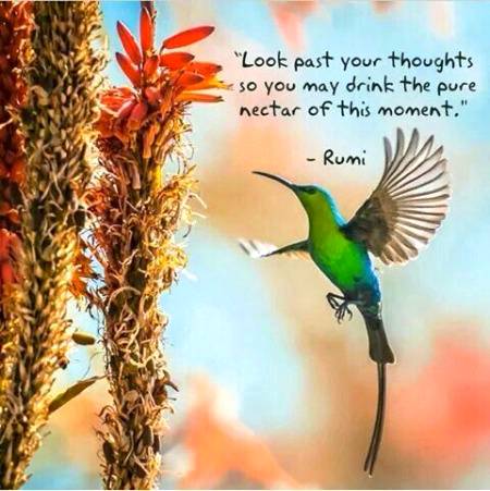 RUMI'S WORDS