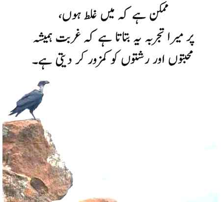 Right Hy na