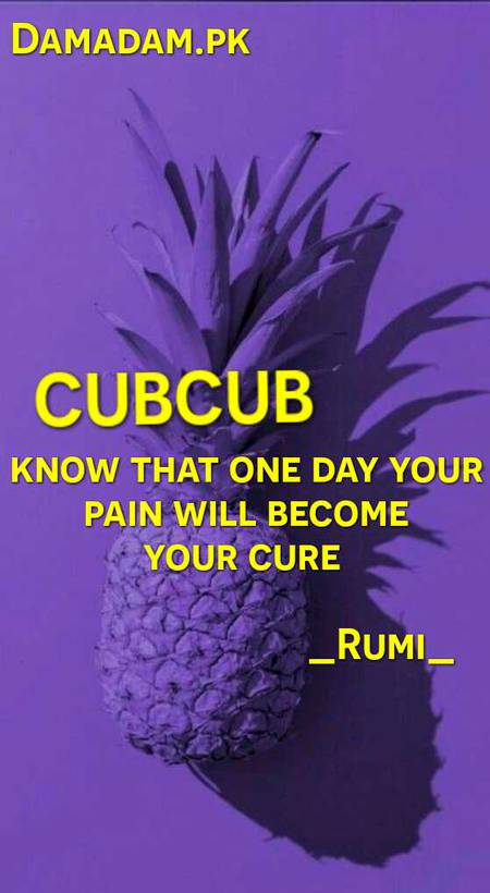 Rumi's words