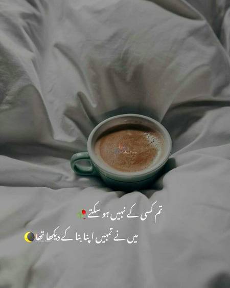 Tum kisi k nhn ho sakte !!