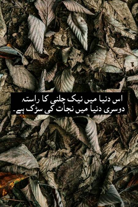 🌟🌟بیشک🌟🌟