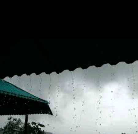 I can stand and stare at Rain for hours without getting tired❤️