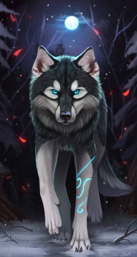 A wolf at night..
