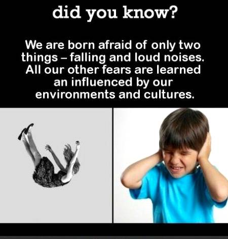 Fact knowledge