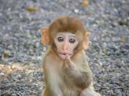 So cutteeeeee❤❤❤👍