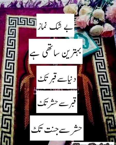 Beshak 💓💯😍😊🤗💖💖