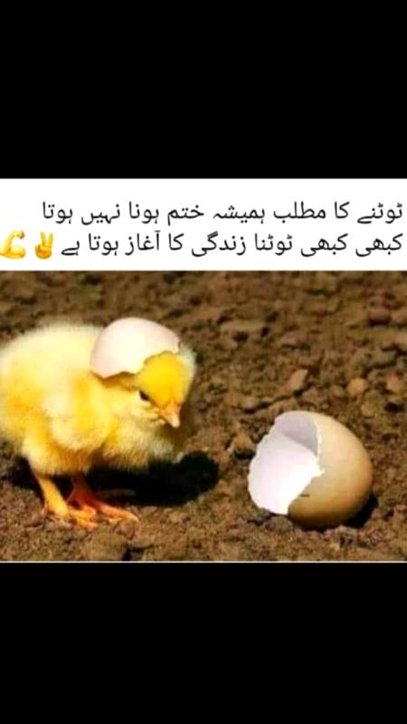 💔Dard-E-Dil💔