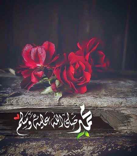 MUHAMMAD SALALLAH HO ALAHE WAALE HE WASALAM 💚❤💞💕🥰
