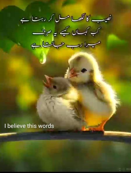 Yaqeen krna sekho...