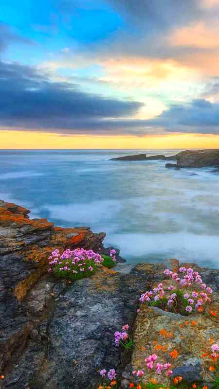 💫 *خود غرض لوگوں سے دوستی اور پیار کرنے کا مطلب اپنے آپ کو ذلیل کروانے کے سوا اور کچھ نہیں۔*