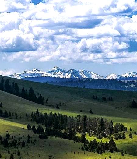 Montana...