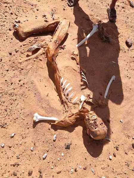 *✍🏿اے ابن آدم اتنی سے اوقات ہے۔پھر اتنے بڑے بڑے دعوے اور متکبرانہ باتیں کیسے کر لیتے ہو؟؟؟👆🏿👆🏿 😭*