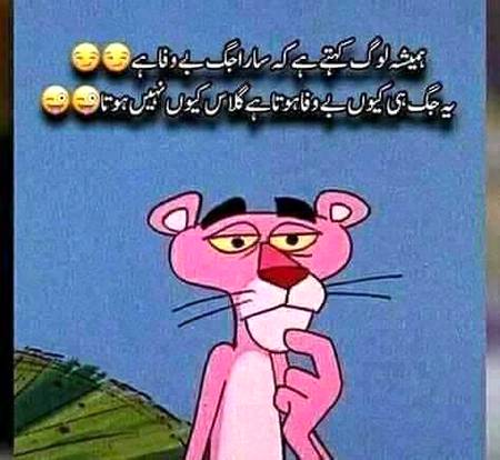 Socha apsy poch lo