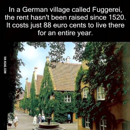 ___ Fact knowledge ___