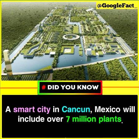 Did you know