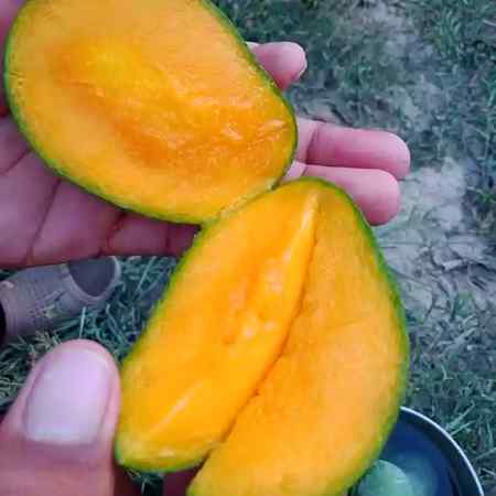 My fvrt😋😋😋😋
