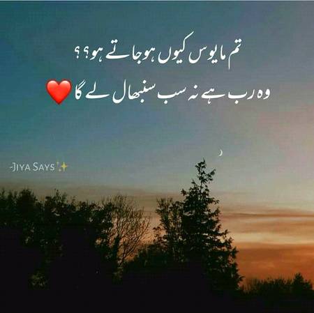 Beshakk😊😊