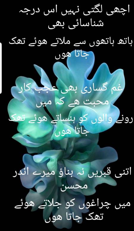 محسن نقوی ۔