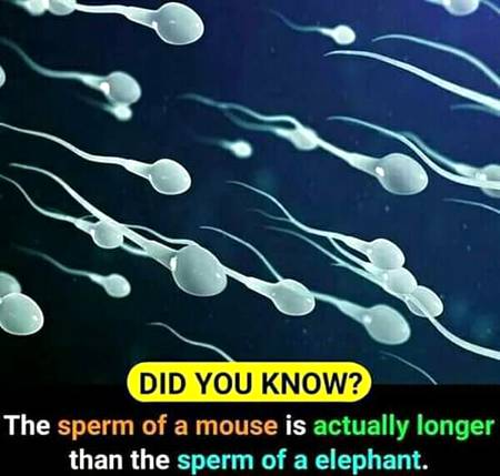 Did u know?