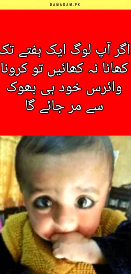 وائرس خود ہی مر جائے گا