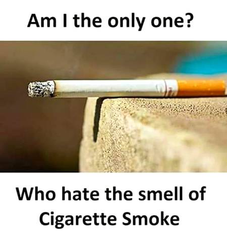 I hate the smell of cigarette smoke...Any one else