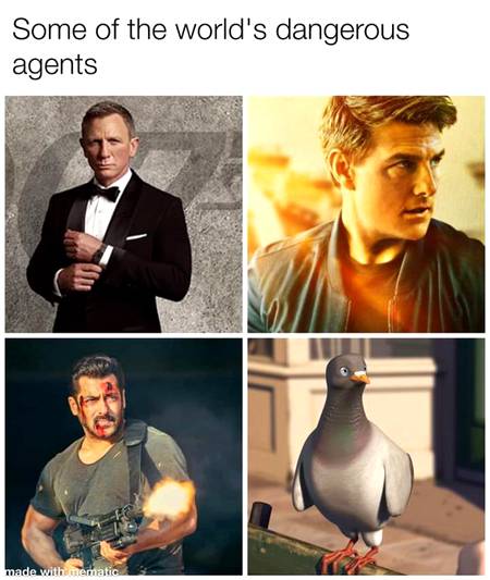 Pigeons are G(old)