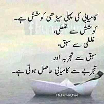 💕💕💕 $$$ 💕💕💕