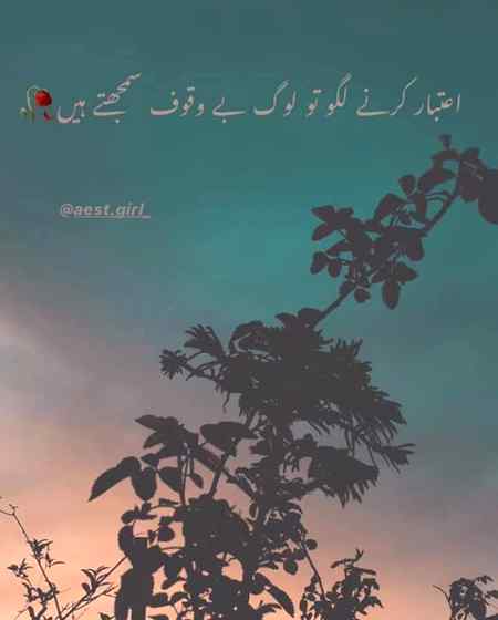 Asslam-o-Alikum everyone