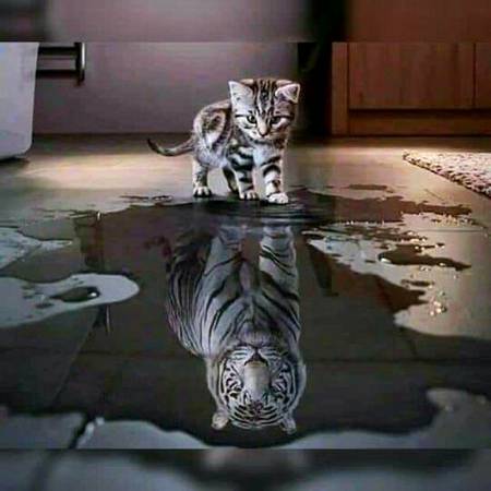 image is describing everything....