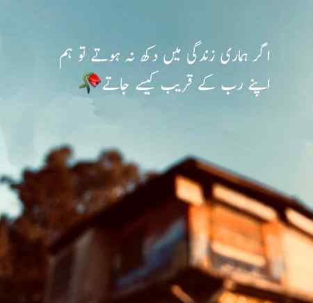 Subhan Allah ❤️💯👌🏻.