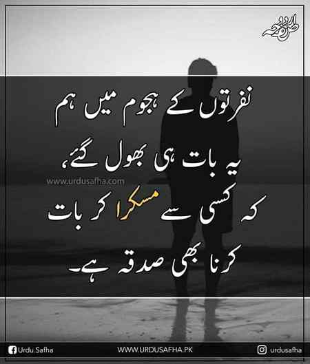 hlo friends