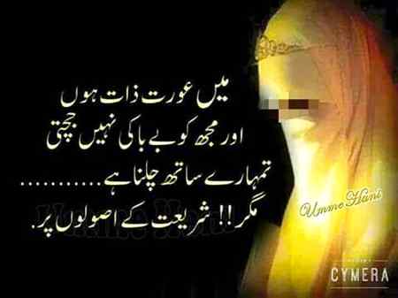 مجھے اپنی حدود کا پتا ہے تم بھی اپنی حدود کا تعین کر لو تو بہتر۔
اللہ کو جوابدہ تم۔ ے بھی ہونا ہے اور میں نے بھی۔