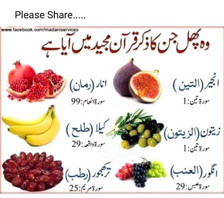Some fruits 



.....
