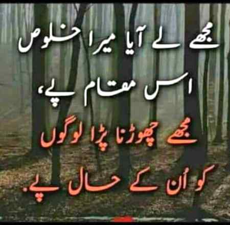 Mughal sharni follow me