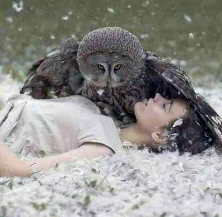 حقیقتوں سے یوں ہوا تصادم 🙄
کہ میں تو بچ گئ 😒😒
خواب مر گۓ😔😕