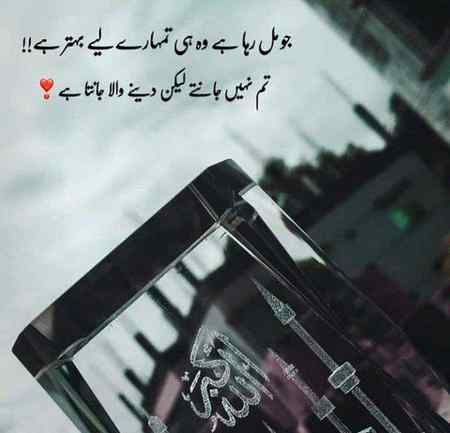 🍀🌺🍀🌺🍀🌺🍀🌺🍀🌺🍀🌺🍀🍀🌺🍀🍀