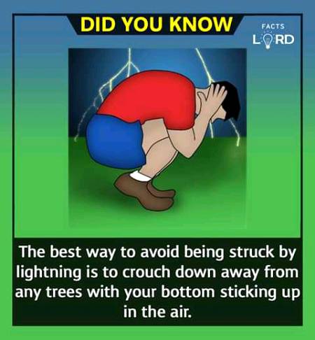 Unbelievable facts 💥💥