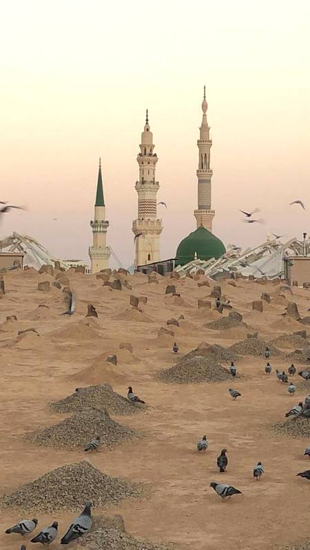 Madina Munawarah❤❤❤
