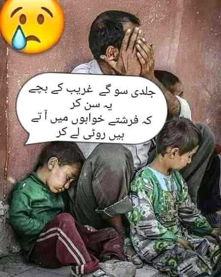 gharib taras jata h do wqt ki roti ko。。。。。Ameer e shahr k kutty bhi raj krty hn😢