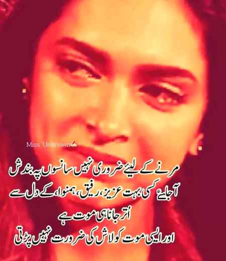 ہوا کچھ نہیں__بس 🍁
وہ چپ ہے__میں اداس ہوں!!😷
*★᭄ꦿ᭄ꦿ۔۔۔━༺ tanha A ༻━
,
*★᭄ꦿ᭄ꦿ۔۔۔━༺ tanha R ༻━࿐ཽ༵*