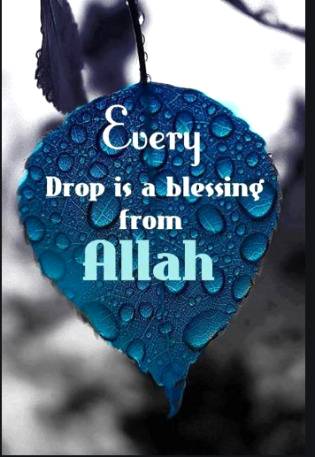 Assalam o alaikum friends please give likes