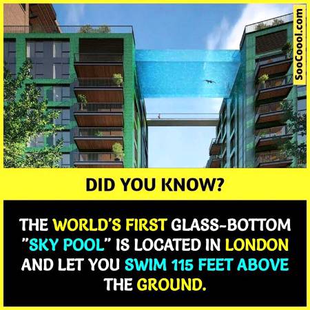 DID YOU KNOW??