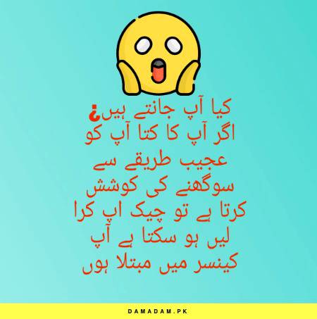 Do you know that ?? Wonderinfo_1
