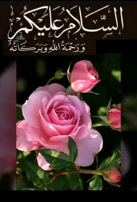 اسلام وعلیکم