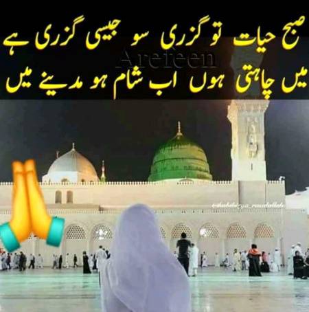 بس ایک بار میں دیکھ لوں صبحِ طیبہ کو   بلا سے پھر میری دنیا میں شام ہو جاۓ