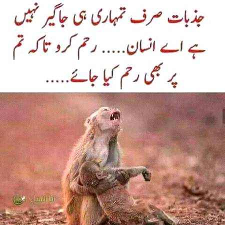 🌹🌹🌹صلی اللہ علی حبیبہ محمد نور من نوراللہ وعلی آلہ واہل بیتہ وعترتہ وازواجہ وصحبہ وجدہ وذریتہ و کل امتہ وبارک وسلم کثیراً کثیرا و دائماً ابدا 🌹🌹🌹