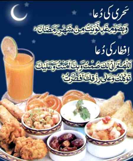 🌹🌿.FtoF🌹🌿