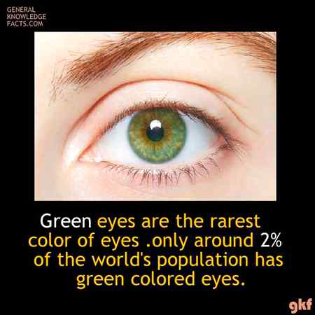 Did you know?