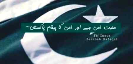 Pakistan zinďa bad💛💚💟❣