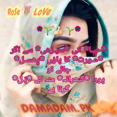 🌹👍🌹👍🌹🌹ROSE🌹🌹👍🌹👍🌹